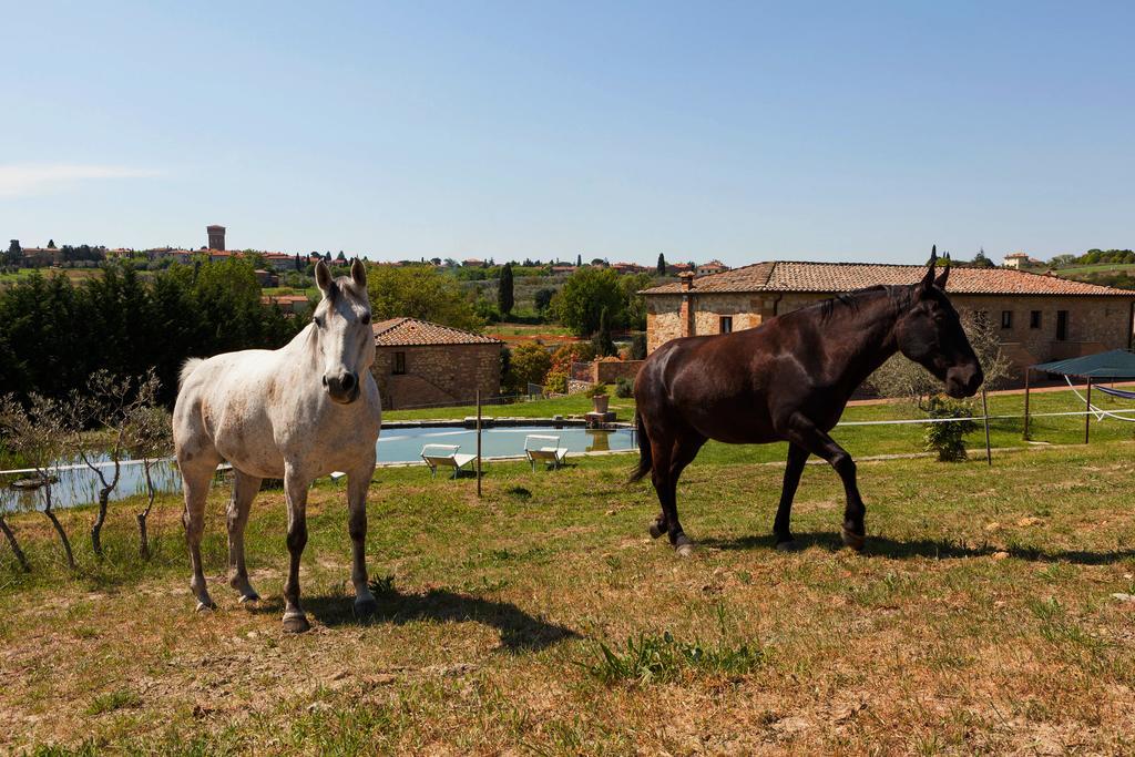 Agriturismo La Collina Пиенца Екстериор снимка